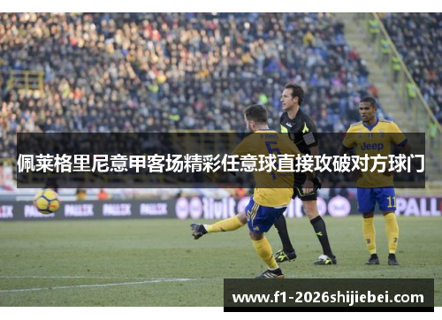 佩莱格里尼意甲客场精彩任意球直接攻破对方球门 佩莱格里尼意甲客场精彩任意球直接攻破对方球门