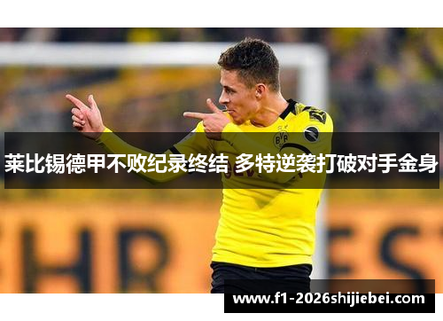 莱比锡德甲不败纪录终结 多特逆袭打破对手金身
